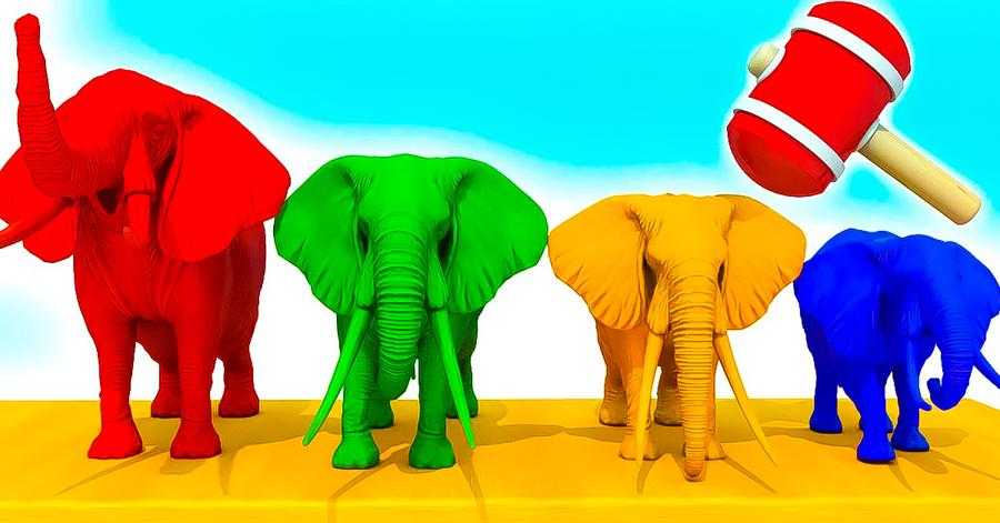 คุณเคยเห็นช้างที่มีสีสันหรือไม่?