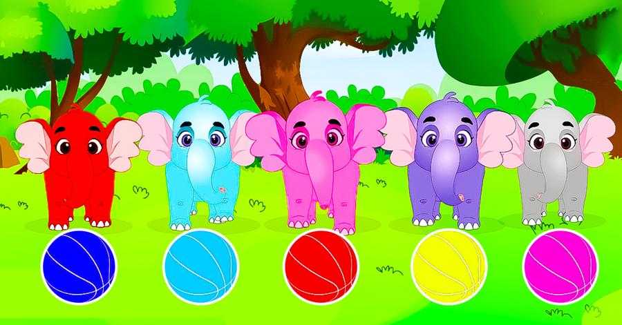 คุณเคยเห็นช้างที่มีสีสันหรือไม่?