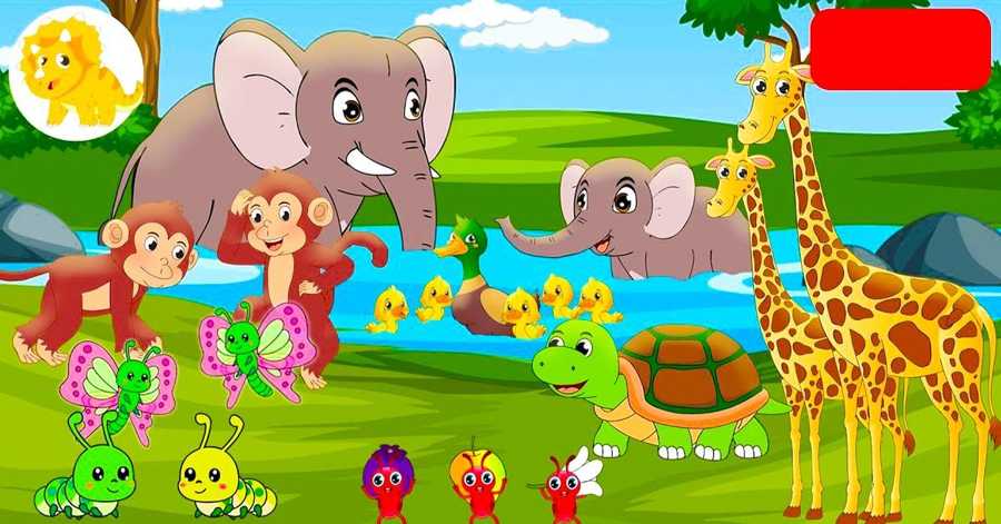 ¿Cuántas especies de animales existen?